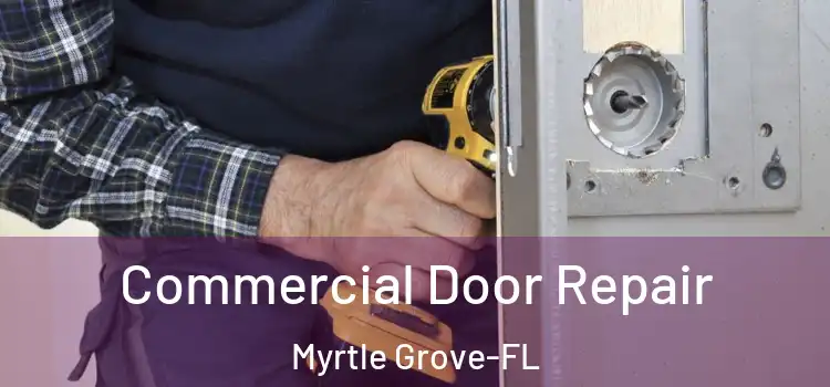 Commercial Door Repair Myrtle Grove-FL
