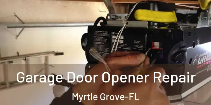 Garage Door Opener Repair Myrtle Grove-FL