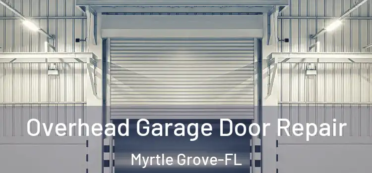  Overhead Garage Door Repair Myrtle Grove-FL