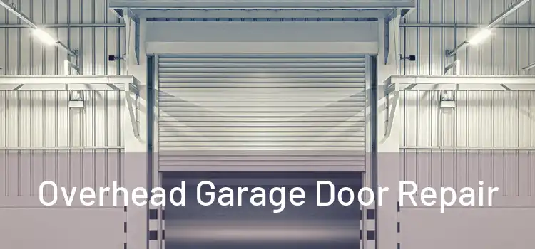  Overhead Garage Door Repair 